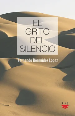 Fernando Bermúdez López El grito del silencio обложка книги