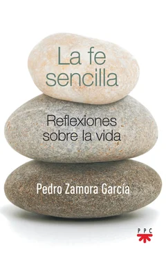 Pedro Zamora Garcia La fe sencilla обложка книги