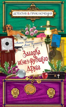 Анна Устинова Загадка исчезнувшего друга обложка книги