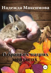 Надежда Максимова - О братьях наших меньших