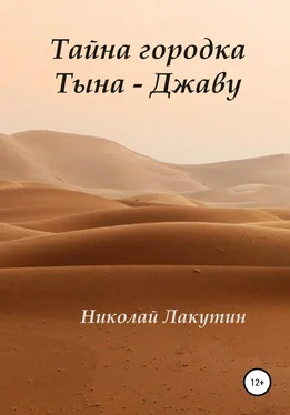 Николай Лакутин Тайна городка Тына – Джаву обложка книги