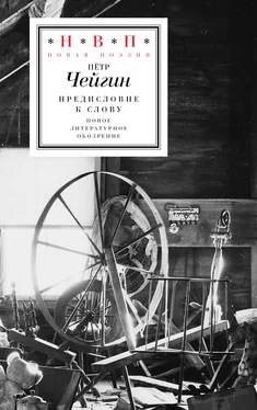 Петр Чейгин Предисловие к слову обложка книги