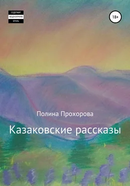 Полина Прохорова Казаковские рассказы обложка книги