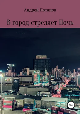Андрей Потапов В город стреляет Ночь обложка книги