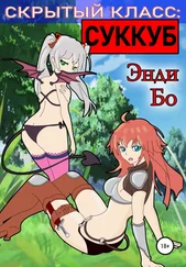 Энди Бо - Скрытый класс - Суккуб