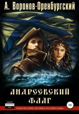 Андрей Воронов-Оренбургский Андреевский флаг обложка книги