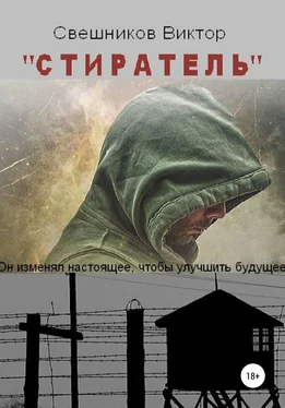 Виктор Свешников Стиратель обложка книги