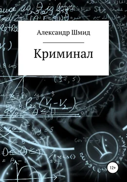 Александр Шмид Криминал обложка книги