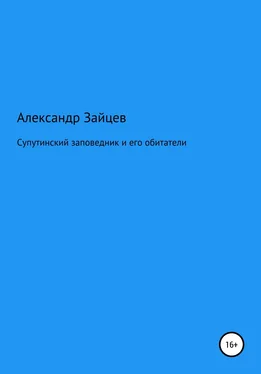 Александр Зайцев Супутинский заповедник и его обитатели обложка книги