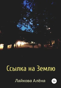 Алёна Лайкова Ссылка на Землю обложка книги