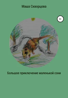 Маша Скворцова Большое приключение маленькой лесной сони обложка книги