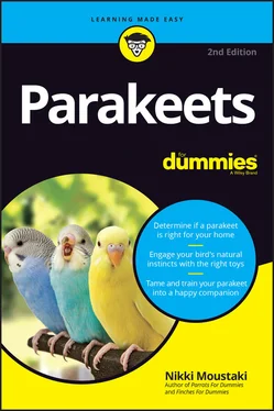Nikki Moustaki Parakeets For Dummies обложка книги