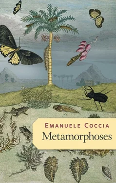 Emanuele Coccia Metamorphoses обложка книги