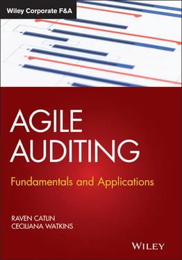 Raven Catlin Agile Auditing обложка книги