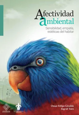 Omar Felipe Giraldo Afectividad ambiental обложка книги