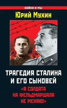 Юрий Мухин Трагедия Сталина и его сыновей. «Я солдата на фельдмаршала не меняю!» обложка книги