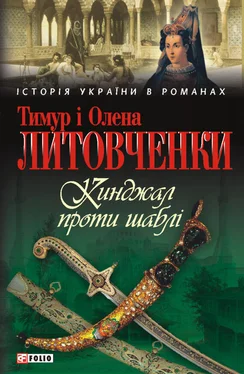 Олена Литовченко Кинджал проти шаблі обложка книги