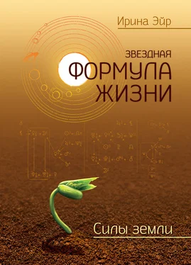 Ирина Эйр Звездная формула жизни. Силы земли обложка книги