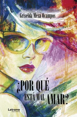 Griselda Meza Ocampos ¿Por qué está mal amar? обложка книги