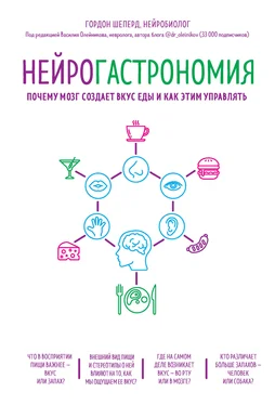 Гордон Шеперд Нейрогастрономия. Почему мозг создает вкус еды и как этим управлять обложка книги