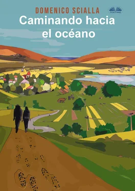 Domenico Scialla Caminando Hacia El Océano обложка книги