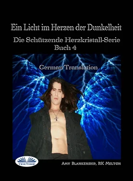 Amy Blankenship Ein Licht Im Herzen Der Dunkelheit обложка книги