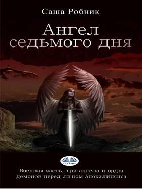 Saša Robnik Angel обложка книги