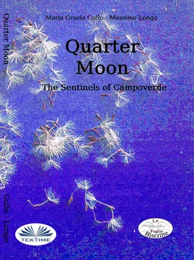 Massimo Longo E Maria Grazia Gullo Quarter Moon обложка книги