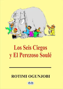 Rotimi Ogunjobi Los Seis Ciegos Y El Perezoso Soulé обложка книги