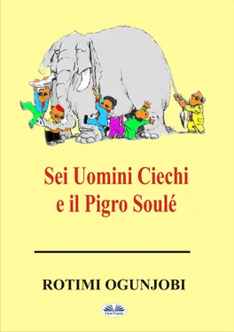 Rotimi Ogunjobi Sei Uomini Ciechi E Il Pigro Soulé обложка книги