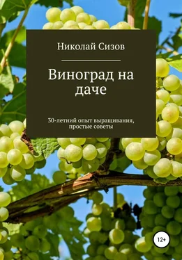 Николай Сизов Как вырастить виноград на даче в Средней полосе России обложка книги