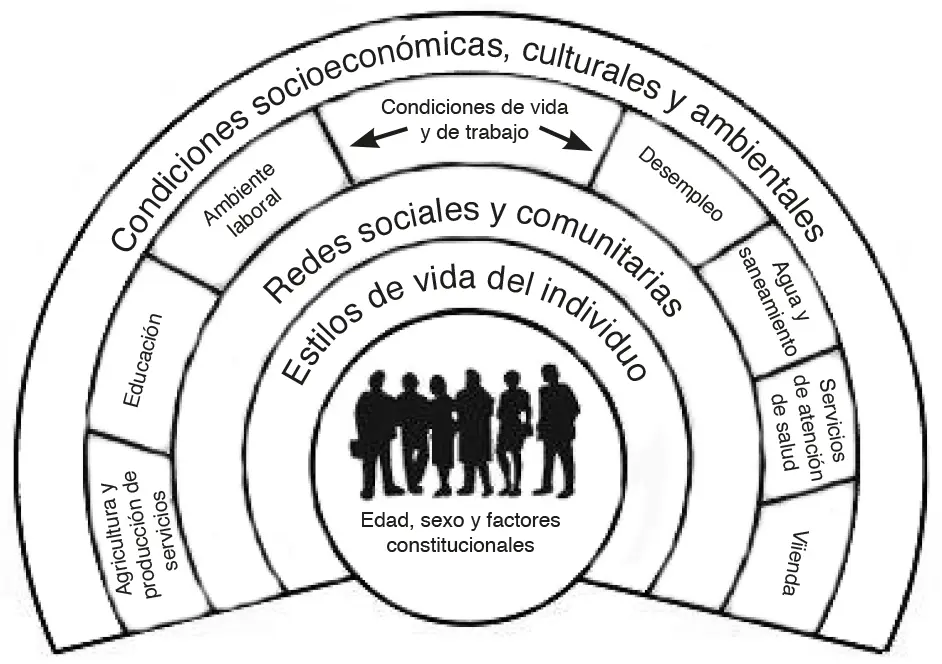 Fuente Canadian Council on Social Determinants of Health 2015 17 Modelo - фото 2