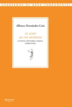 Alfonso Hernandez-Cata El alma de los muertos обложка книги