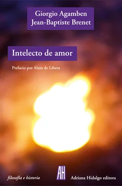 Giorgio Agamben Intelecto de amor обложка книги