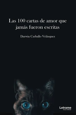Darwin Carballo Velásquez Las 100 cartas de amor que jamás fueron escritas обложка книги