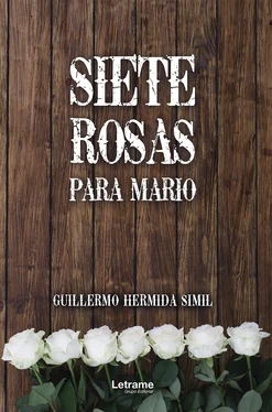 Guillermo Hermida Simil Siete rosas para Mario обложка книги