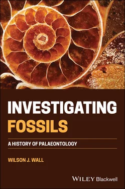 Wilson J. Wall Investigating Fossils