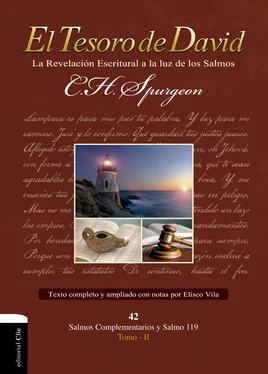 Eliseo Vila El Tesoro de David: la revelación Escritural a la luz de los Salmos обложка книги