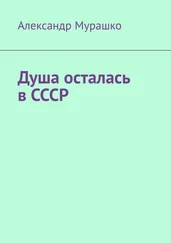 Александр Мурашко - Душа осталась в СССР