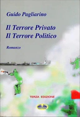 Guido Pagliarino Il Terrore Privato Il Terrore Politico обложка книги