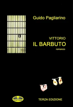 Guido Pagliarino Vittorio Il Barbuto обложка книги
