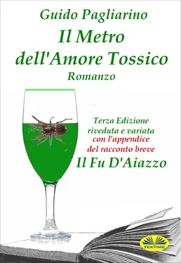 Guido Pagliarino Il Metro Dell'Amore Tossico – Romanzo обложка книги