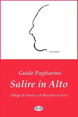 Guido Pagliarino Salire In Alto обложка книги