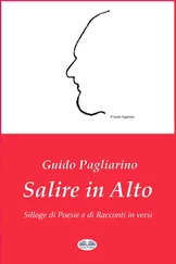 Guido Pagliarino - Salire In Alto