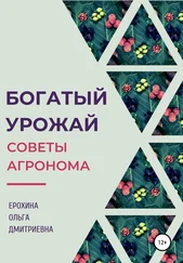 Ольга Ерохина - Богатый урожай. Советы агронома