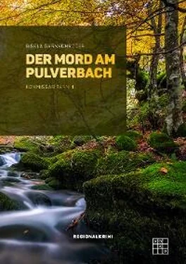 Gisela Garnschröder Der Mord am Pulverbach обложка книги