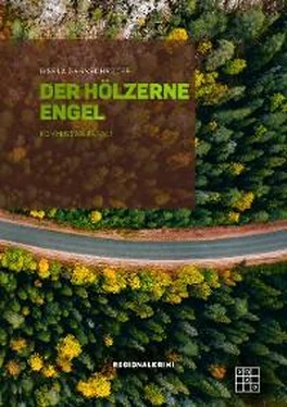 Gisela Garnschröder Der hölzerner Engel обложка книги