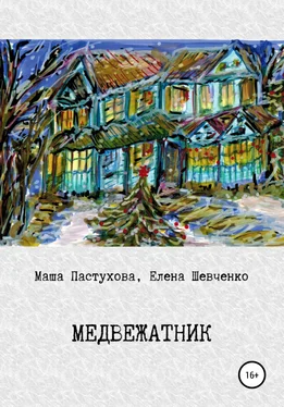 Мария Пастухова Медвежатник обложка книги