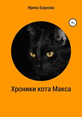 Ирина Боркова Хроники кота Макса обложка книги