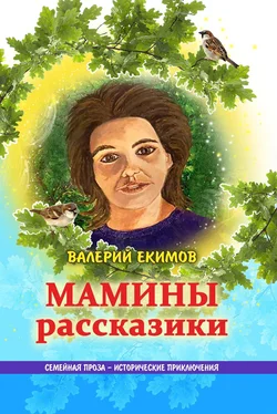 Валерий Екимов Мамины рассказики обложка книги